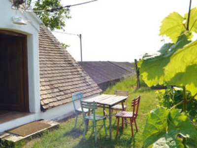 Regionale Produkte von unseren Heurigenbetrieben