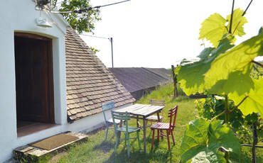 Regionale Produkte von unseren Heurigenbetrieben